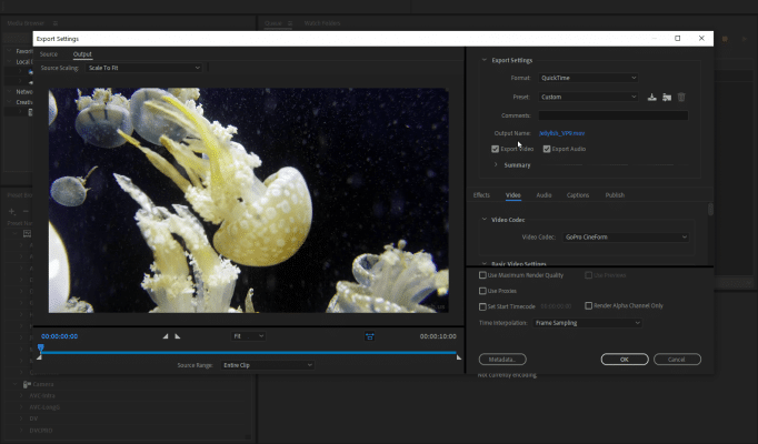 after effects media encoder free download